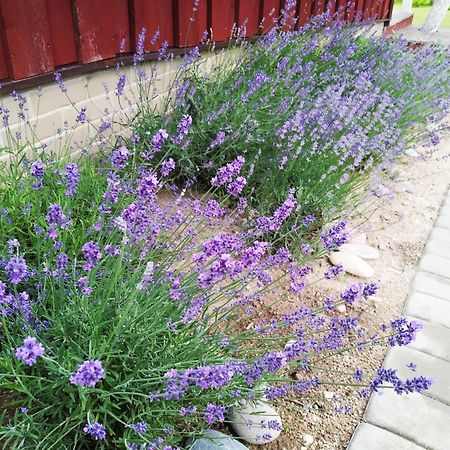 9 Min From Palanga! Luxury House On The River And Sauna Kretinga Esterno foto